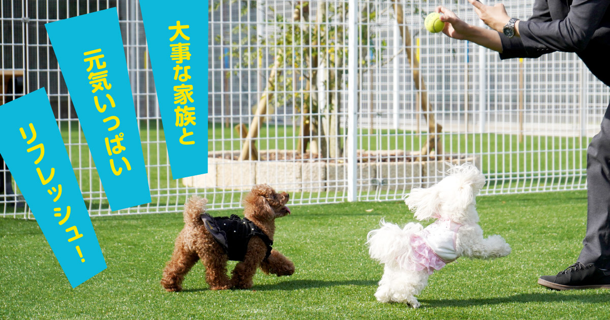 大事な家族と元気いっぱいリフレッシュ！